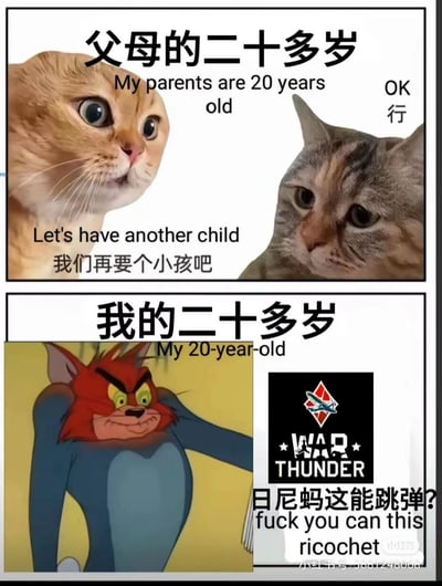 这张梗图通过上下分栏的对比形式，展现了父母二十多岁与自己二十多岁的生活状态差异：
1. 上半部分：用两只真实猫咪的表情包，呈现父母二十多岁时从容商量“我们再要个小孩吧”，另一方平淡回应“OK 行”的场景，体现上一辈二十多岁时已进入组建家庭、规划生育的阶段；
2. 下半部分：用《猫和老鼠》里愤怒抓狂的魔改汤姆猫，搭配军事网游《战争雷霆》的标识与暴躁吐槽“日尼玛这能跳弹？”，表现当代年轻人二十多岁时沉迷游戏、被游戏机制折磨的暴躁日常。
整体通过强烈的代际反差制造搞笑效果，精准戳中当代年轻人的自嘲点。