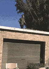 这是一段动态GIF，画面呈现了一个站在带有卷帘门的建筑墙顶的人，在试图移动时脚下踩空，直接从墙顶摔落的场景，整个过程充满意外感与滑稽感，是典型的生活失误出糗画面。