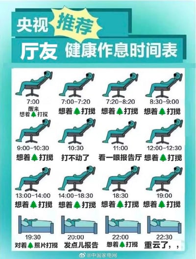 这是一张模仿官方健康作息表形式制作的玩梗图，标题标注“央视推荐 厅友健康作息时间表”，实际内容是调侃“厅友”（结合来源推测为电力营业厅工作人员或原神玩家群体）的摸鱼日常：从7:00醒来后，几乎全天的时间都在重复“想着🌲打搅”的状态，仅在10:30、11:00出现短暂的“打不动了”“看一眼报告厅”的内容；晚间时段则是“对着🌲照片打搅”“发点儿报告”，最后以“重云了”收尾。其中包含谐音梗与圈子梗：“重云了”既谐音“睡着了”，又关联原神角色重云；“🌲”与“打搅”结合，是对摸鱼、打盹状态的趣味化表达，整张图用重复的摸鱼内容，讽刺式地呈现了这类人群看似有作息安排，实则全天摸鱼的状态，充满搞笑与自嘲的氛围。