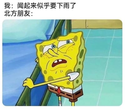这是一张调侃南北生活差异的搞笑梗图，图中上方配文“我：闻起来似乎要下雨了”，代表部分南方人对下雨前空气湿度变化产生的特殊气味的感知；下方用动画角色海绵宝宝的形象来代表北方朋友，海绵宝宝皱着眉头、张开嘴巴，伸着鼻子，一脸疑惑不解，扶着栏杆的动作和夸张的表情，生动表现出北方朋友无法理解“能闻出下雨味道”这种体验的反应，通过卡通角色的神态制造出诙谐的笑点，体现南北不同的生活感知差异。