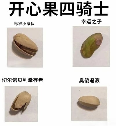 这是一张以开心果为主题的幽默拼贴图片，标题为“开心果四骑士”。图片采用四格排版，展示了四种不同状态的开心果，并分别配上了诙谐的标签：左上角是带壳且开口的“标准小家伙”，右上角是已剥壳、果仁翠绿的“幸运之子”，左下角是外壳破损、果仁暴露的“切尔诺贝利幸存者”，右下角是闭合紧密、难以打开的“臭傻逼滚”。通过拟人化的标签和视觉对比，调侃了吃开心果时遇到的不同情况，充满生活趣味和幽默感。