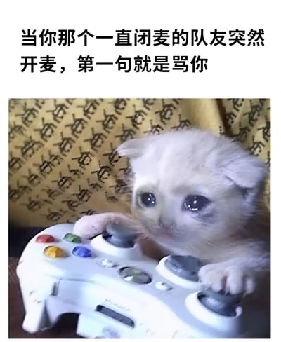 图片上方配有文字“当你那个一直闭麦的队友突然开麦，第一句就是骂你”，下方是一只白色小猫，睁着水汪汪的大眼睛，前爪搭在一个白色游戏手柄上，背景是带有花纹的黄色布料。整体通过可爱的小猫表情和游戏手柄元素，幽默地表现了游戏中遇到队友突然开麦指责时的错愕与无奈。