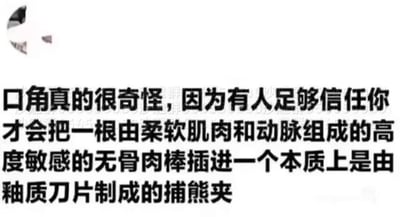 暂无描述