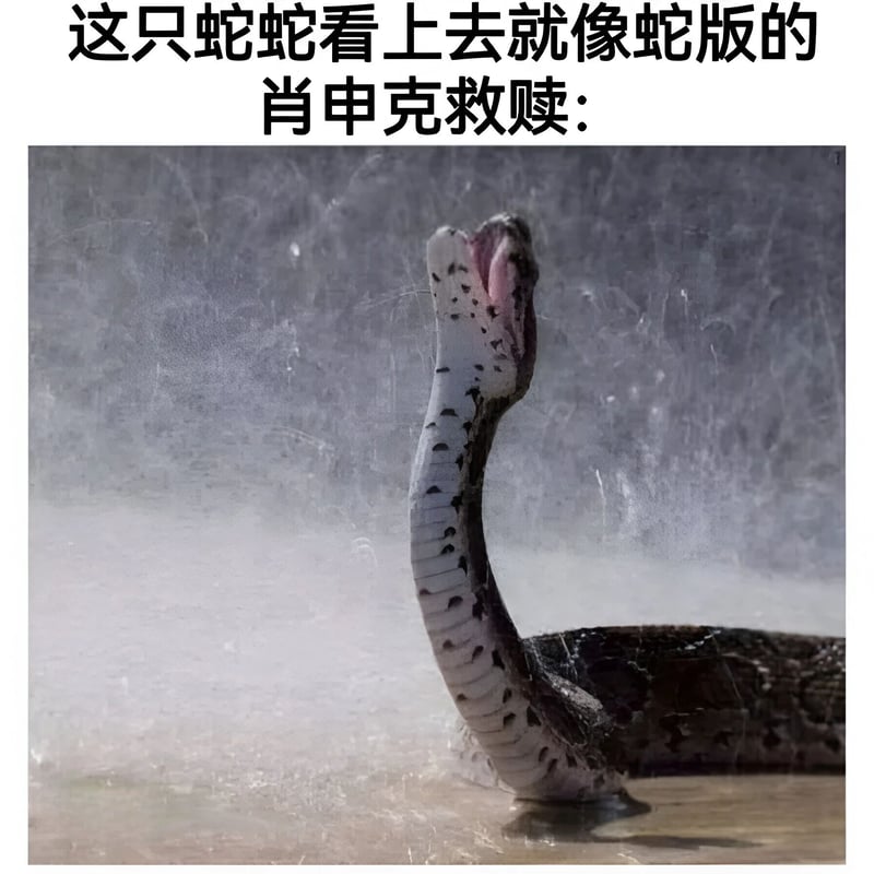 蛇