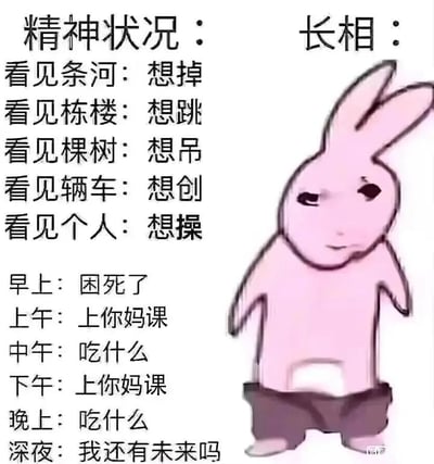 这是一张带有黑色幽默的梗图，左侧是关于精神状态的文字描述，表达了各种自毁倾向和消极情绪，右侧是一只表情悲伤的粉色兔子。文字内容描述了看见不同物体时的消极想法，以及一天中从早到晚的情绪变化，最后以"我还有未来吗"的疑问结尾，展现了当代年轻人的焦虑与迷茫。