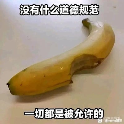 这是一张静态搞笑梗图，画面主体是一根未完全成熟的黄色香蕉，表皮还带有少量绿色，它没有被剥皮，而是从侧面被啃掉了一块，这种不符合常规食用方式的画面充满反差感。图片上下方配有黑色加粗的文字，上方文字为“没有什么道德规范”，下方为“一切都是被允许的”，通过荒诞的画面搭配叛逆的文字，戏谑地表达出想要摆脱常规规则约束、打破固有框架的摆烂心态，能够引发对规则感到疲惫的群体的共鸣。