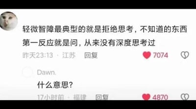 这是一张社交媒体评论区的截图，上方匿名用户发表观点：“轻微智障最典型的就是拒绝思考，不知道的东西第一反应就是问，从来没有深度思考过”，下方名为Dawn.的用户直接回复“什么意思？”，完美契合了上方评论所描述的“遇到问题第一反应就提问，不进行深度思考”的情况，形成了极具反差的搞笑效果，属于典型的“自投罗网”式神回复。针对图中的问题“什么意思？”，其实这句话刚好对应了上方评论的内容，意思是提问者的行为就是上方评论里所说的“拒绝思考，第一反应就提问”的情况。