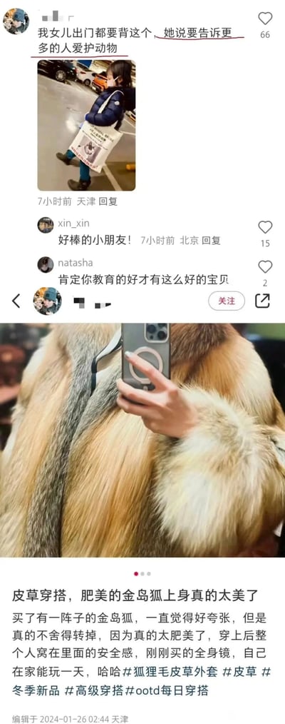 这是一张拼接的社交媒体动态截图，上方是来自天津的账号发布的内容，称自己的女儿出门一定要背印有反虐待动物图案和文字的帆布袋，目的是呼吁更多人爱护动物，配图是穿着深蓝色羽绒服、戴着口罩的小女孩背着该包的街景，这条动态收获66个赞，还有网友评论夸赞小朋友和家长的教育；下方是同一个账号发布的皮草穿搭动态，展示了自己穿着金岛狐狐狸毛皮草外套的自拍，文案表达了对这件皮草的喜爱，称其“肥美”带来安全感，还带了多个皮草相关的穿搭话题，编辑时间为2024-01-26 02:44，地点同样是天津。两条动态形成强烈反差，一边倡导爱护动物，一边使用动物毛皮制作的皮草，充满讽刺意味，凸显了账号主人言行不一的矛盾。