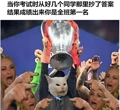 图片上方有文字“当你考试时从好几个同学那里抄了答案 结果成绩出来你是全班第一名”。图片主体是一个戴着白色猫面具的人，双手高举一个大型奖杯，周围有许多兴奋欢呼的人，他们伸出手指着戴猫面具的人。整个画面营造出一种夸张的庆祝氛围，与文字内容形成幽默对比，暗示通过抄袭反而获得意外成功的荒诞情景。