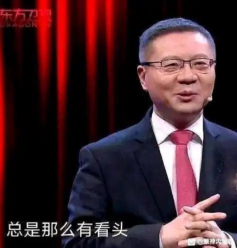 张维为