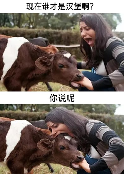 这是一组由两张图片拼接而成的搞笑反转梗图，玩了汉堡原料的反差梗。第一张图中，一头棕白相间的小牛咬住了一位女子的手，配文“现在谁才是汉堡啊？”，暗喻通常汉堡以牛肉为原料，如今小牛反过来“攻击”人类，以此质疑谁才是被“食用”的一方，女子此时表情惊讶大张着嘴，做出抗拒姿态；第二张图经过P图改编，女子反过来用力咬住小牛的头部，配文“你说呢”，用强势的回应完成反转，制造出荒诞搞笑的效果，通过场景的反转打破常规认知，增强了梗的趣味性。