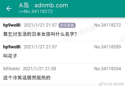 这是A岛论坛上的一则冷笑话互动帖子，楼主hp9woBI先发布提问：“靠乞讨生活的日本女孩叫什么名字？”，紧接着自己回复答案“叫花子”，玩了谐音梗：将中文里对乞丐的称呼“叫花子”，结合日本女性名字常用的“子”后缀，制造出既贴合问题又符合日本名字风格的冷笑话效果。随后用户MfAvktd回复评论“这个冷笑话居然挺热的”，调侃该谐音梗的冷幽默特质。

谐音梗说明：把中文里指代乞丐的“叫花”，搭配日本女性名字常见的“子”后缀，组合成“叫花子”，既回答了“乞讨的女孩”的问题，又形成了符合日本名字格式的答案，从而产生冷笑话的笑点。