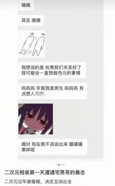 这是一张社交平台的聊天记录分享截图，内容为网友分享自己的奇葩相亲经历：发布者属于二次元爱好者，过年被家里催婚于是主动尝试二次元相亲，结果相亲第一天就遇到男方非常失礼的发言，男方先发了擦边的简笔小人表情包，随后直白表示如果二人关系变好自己会一直想做色色的事，还拿自己是男生当借口，最后假意道歉说不该现在说这些，发言非常冒犯且不合时宜，让发布者十分无语。