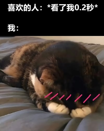 图片上方文字为“喜欢的人：*看了我0.2秒* 我：”，下方是一只蜷缩在床上的橘猫，它用爪子捂住脸，眼睛位置被粉色线条覆盖，形象地表现出暗恋对象短暂一瞥后自己内心极度害羞、小鹿乱撞的夸张反应，整体风格幽默可爱，非常贴合年轻人表达暗恋时的内心戏。