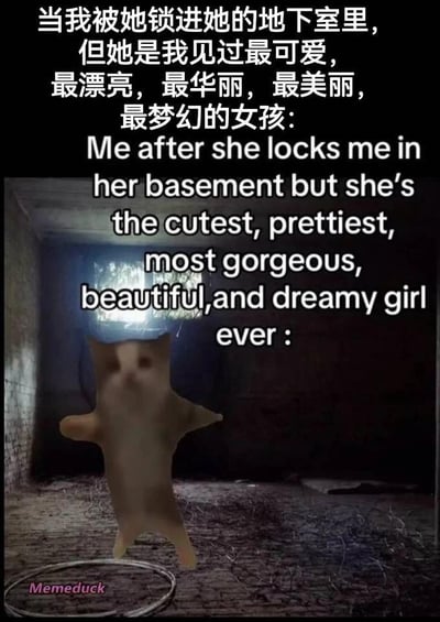 这是一张二次创作的搞笑梗图，画面上方配有中英双语的夸张文案，中文内容为“当我被她锁进她的地下室里，但她是我见过最可爱，最漂亮，最华丽，最美丽，最梦幻的女孩：”，英文为对应的翻译。画面主体是昏暗破旧的地下室场景，地面为砖石质地，环境荒芜，中间是一个模糊不清、正在蹦跳的猫咪形象，猫咪下方有一个铁环，左下角带有“Memeduck”的水印。这张图用强烈的反差感调侃“恋爱脑”状态：即使遭遇被心仪女孩囚禁在地下室这种危险且不合理的事，却依然因为对方的外貌而感到兴奋，完全无视自身处境，用模糊猫咪蹦跳的形象来表现这种失智、亢奋的状态，充满荒诞的搞笑感，没有双关或谐音梗。