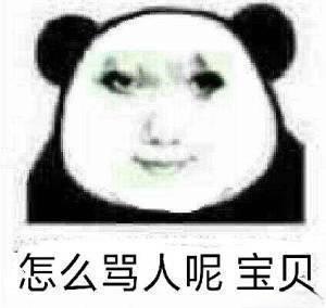 图片为经典熊猫头表情包，主体是卡通熊猫头部特写，面部带有类似人类的柔和五官，表情中性略带微笑。图片下方配有文字“怎么骂人呢 宝贝”，整体风格幽默俏皮，常用于网络聊天中以调侃、玩笑的语气回应他人，并非真正意义上的骂人，而是带有亲昵或戏谑的意味。