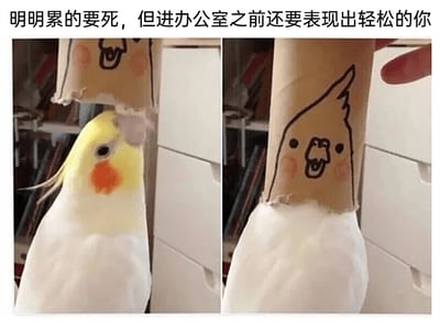 这是一张左右分栏的静态对比梗图，左侧展示了一只神态疲惫、蔫头耷脑的玄凤鹦鹉，它的头顶套着一个画有开心笑脸的纸筒，纸筒仅露出鹦鹉的头部；右侧则将纸筒向下拉动，盖住了鹦鹉的头部，只露出纸筒上的笑脸，视觉上仿佛鹦鹉瞬间变得精神饱满、笑容满面。图片顶部配有文字“明明累的要死，但进办公室之前还要表现出轻松的你”，用鹦鹉和纸筒的反差效果，生动具象地调侃了职场打工人在身心俱疲的状态下，进入工作场所前强行伪装出轻松、积极状态的真实心态，极易引发职场群体的共鸣。