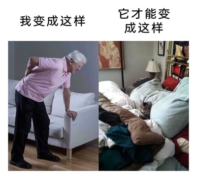 这是一张左右拼接的对比梗图，左侧画面中一位白发老人手扶沙发，一只手撑着腰，身体弯曲，面露痛苦，显然是腰部不适；上方配文“我变成这样”。右侧画面里一只猫咪惬意地躺在堆叠的被褥形成的舒适小窝中，上方配文“它才能变成这样”。图片通过强烈的对比，幽默地调侃了铲屎官为了给猫咪打造舒适的休息环境，辛苦整理被褥后累到腰痛的无奈又宠溺的日常，精准戳中了养猫人群的共鸣点，充满搞笑氛围。