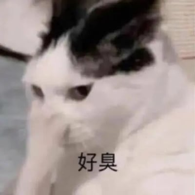 这是一张静态的文字加注表情素材图，画面主体是一只黑白花色的猫咪，它眉头紧皱，一只爪子抬起放在鼻子附近，呈现出明显的嫌弃神态，图片下方配有黑色文字“好臭”，将猫咪的动作和文字完美结合，生动地传递出闻到难闻气味或遇到讨厌事物时的嫌弃情绪，常被用于中文网络聊天中，作为表达厌恶、嫌弃情绪的表情包使用。