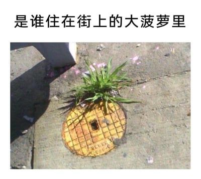 这是一张趣味实拍加文字的梗图，地面上的黄色带网格纹路的下水道井盖，因顶部意外长出一丛绿色的草，外形神似菠萝，搭配图片上方的文字“是谁住在街上的大菠萝里”，玩了经典动画《海绵宝宝》中海绵宝宝住在菠萝屋的梗，制造出幽默的巧合视觉效果，井盖底部还印有“SEWER”字样，明确其下水道井盖的属性。