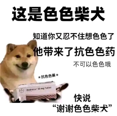 这是一张基于经典Doge（神烦狗）表情包二次创作的趣味梗图，主体是表情戏谑、嘴角上扬的柴犬，它“手持”一盒标注为“Androcur 50 mg Tablet”的真实药物（醋酸环丙孕酮，有抑制相关激素的作用）。图中搭配了一系列趣味配文：“这是色色柴犬 知道你又忍不住想色色了 他带来了抗色色药 不可以色色哦 *抗色色藥* 快说‘谢谢色色柴犬’”，将药物调侃为“抗色色药”，用夸张搞笑的方式调侃网友的不当想法，适合在社交聊天中用来打趣互动，营造轻松搞笑的氛围。