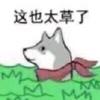 这是一张卡通风格的网络梗图，画面主体是一只戴着红色领结的灰色卡通小狗，它趴在地面上，表情带着错愕与无奈。图上方配有文字‘这也太草了’，其中‘草’是网络谐音梗，为‘操’的谐音，用于表达对离谱、荒诞事件的吐槽，传递出无语、好笑又无奈的情绪，适合在遇到离谱事时用来抒发感受。