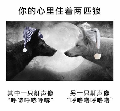 这是一张充满无厘头趣味的图文混排梗图，上方标题为“你的心里住着两匹狼”，中间是经过P图修改的黑白图片：画面中两只外形类似狼的犬类动物面对面，背景是一轮满月，两只动物分别戴着蓝白条纹、浅灰条纹的睡帽，营造出准备睡觉的氛围；下方分左右标注文字，分别说明“其中一只鼾声像‘呼哧呼哧呼哧’”“另一只鼾声像‘呼噜噜呼噜噜’”。该图改编自经典的“心里住着两匹狼”的寓言，将原本关于善恶对立的严肃主题，替换成了生活化的打鼾场景，通过反差感制造出搞笑幽默的效果，调侃人内心被两种不同的打鼾状态“占据”，充满轻松的趣味。