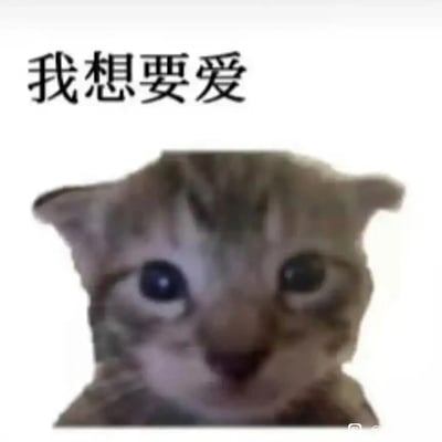 这是一张趣味表情包，采用图文混排的形式，上方配有黑色简体文字“我想要爱”，下方是一张经过模糊变形处理的狸花小猫图片。小猫睁着圆溜溜的大眼睛，眼神带着委屈与渴望，面部的变形让它看起来更显可怜兮兮，整体风格软萌又充满共情力，能够精准表达出使用者渴望被关爱、需要情感陪伴的内心诉求，适合在社交聊天中传递孤单、渴望被爱的情绪。