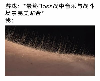 这是一张传递游戏极致体验的图文梗图，上方文字设定了游戏场景：最终Boss战中，配乐与紧张刺激的战斗画面完美契合，构建出极具沉浸感的热血战斗氛围；下方配图为人类手臂上因强烈情绪刺激而竖起的汗毛，将玩家在这种高度契合的氛围中，被深深震撼、热血沸腾的抽象情绪，转化为直观可见的生理反应，精准戳中广大游戏玩家的共鸣点，生动表达了优秀游戏配乐与场景结合所带来的极致触动。
