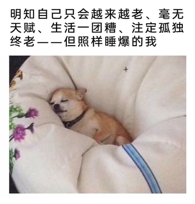这是一张图文结合的搞笑表情包，上方配文以自嘲的口吻描述了一种认清自身人生困境的状态：逐渐衰老、缺乏天赋、生活混乱、注定孤独，但依然选择不管不顾蒙头大睡的摆烂心态；下方是一只吉娃娃蜷缩在带有花卉图案的被子里，双眼紧闭，神态放松满足，睡得十分香甜，完美呼应了配文里“照样睡爆”的内容。该表情包用可爱的宠物形象，生动地表现出当代年轻人在面对生活压力与困境时，选择躺平、逃避现实来自我慰藉的心态，幽默又充满共鸣，很适合用来调侃自己的失意日常。