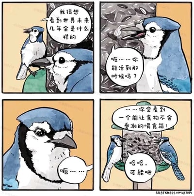 这是一幅四格连环卡通漫画，主角是几只冠蓝鸦。第一格中，一只小冠蓝鸦站在树枝上，满脸憧憬地表示自己很想看看未来几年世界的样子；第二格中，一只体型更大的冠蓝鸦毫不留情地泼冷水，反问它能不能活到那时候；第三格中，被泼冷水的小冠蓝鸦语塞，只能尴尬地发出“呃………”的声音；第四格的场景切换到喂食箱旁，大冠蓝鸦告诉小冠蓝鸦，它会看到一个能让食物不会受潮的喂食箱，小冠蓝鸦则笑着回应“哈哈，可能吧”。漫画以鸟类的短寿命为切入点，将宏大的“未来畅想”调侃成了对鸟类而言最实际的喂食箱升级，用反差感制造出冷幽默的效果，风格诙谐又接地气。
