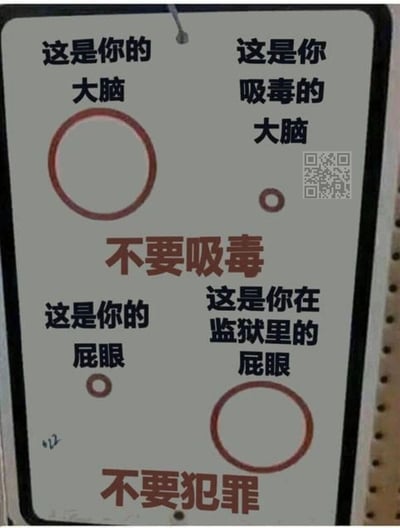 这是一张采用低俗搞笑风格的警示宣传图，整体分为上下两个部分：上半部分用大圆圈象征健康完整的大脑，小圆圈象征吸毒后受损的大脑，搭配文字“不要吸毒”，以直观对比警示吸毒对大脑的伤害；下半部分用小圆圈象征正常状态的身体部位，大圆圈以夸张戏谑的方式暗示入狱后的糟糕处境，搭配文字“不要犯罪”。图中用反差感强烈的大小圆圈和低俗搞笑的比喻，替代了传统严肃的宣传方式，试图以更具冲击力、更容易被传播和记住的形式，向受众传递远离毒品、遵纪守法的观念。