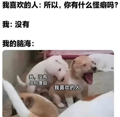 这是一张幽默梗图，通过文字与宠物照片结合展现内心想法与表面回答的反差。上方文字模拟对话场景：“我喜欢的人”询问“你有什么怪癖吗？”，“我”表面回答“没有”，但“我的脑海”部分配上一群小狗的照片——其中白色小狗标注“我，没有任何理由”，棕黄色小狗张大嘴巴标注“我喜欢的人”，用小狗间的互动形象比喻内心毫无理由地被喜欢的人影响的状态，形成搞笑的反差效果。
