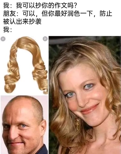 这是一张结合对话与图片的搞笑谐音梗图，对话围绕抄作文展开：“我”询问朋友能否抄作文，朋友让“我”“润色”作文防止被发现抄袭，而“我”将“润色”字面化理解，用P图的方式把光头男士的脸和金发女士的头发结合，搭配假发素材，制造出荒诞搞笑的效果，调侃了部分人对“润色”的错误理解，用视觉化的方式表现出为了掩盖抄袭只做表面功夫的行为，充满戏谑感。
