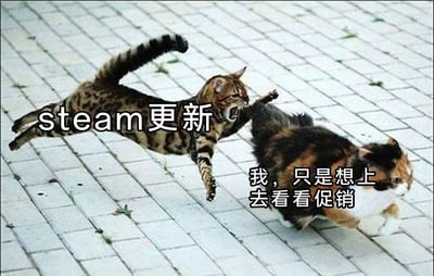 图片中两只猫在瓷砖地面上互动，虎斑猫跃起扑向三花猫，前者身上有文字“steam 更新”，后者配有文字“我，只是想上去看看促销”。通过拟人化的方式，幽默展现了游戏玩家面对Steam强制更新时，只想进入平台查看促销活动的无奈心情。