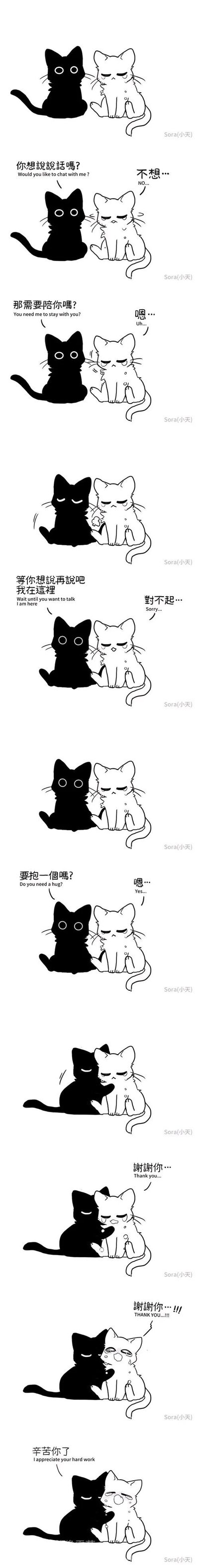 这是一组竖版的黑白连环猫咪漫画，由作者Sora(小天)创作。漫画中，黑猫察觉到身旁的白猫正低落流泪，主动上前关心：先询问白猫是否想说话，在得到否定答复后，转而询问是否需要陪伴，在白猫同意后安静地陪在它身边，告诉白猫“等你想说再说吧，我在这里”，让愧疚道歉的白猫感受到支持；随后黑猫询问白猫是否需要拥抱，在白猫同意后轻轻抱住它，白猫在拥抱中逐渐释放压抑的情绪，反复向黑猫道谢，最后黑猫轻声安慰“辛苦你了”。整个故事用细腻的动物互动，传递出无声陪伴的温柔力量，精准刻画了情绪低落时被温柔对待的治愈感，是对情绪支持的生动诠释。