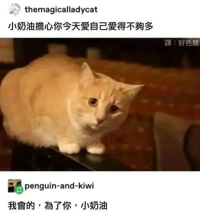 这是一张来自社交平台的互动截图，画面主体是一只被称为“小奶油”的橘猫，它趴在黑色台面上，眼神软萌略带担忧。上方用户themagicalladycat发布文字：“小奶油担心你今天爱自己爱得不够多”，将猫咪拟人化，传递出关心他人是否好好关爱自己的暖心情绪；下方用户penguin-and-kiwi回复：“我會的，為了你，小奶油”，回应了这份温馨的关怀，整体氛围治愈又温暖，用可爱的猫咪形象拉近了距离，让关爱自己的提醒更易被接受。图片右上角还有翻译标注“譯：好色龍”，说明这是经过中文翻译的国外社交平台内容。