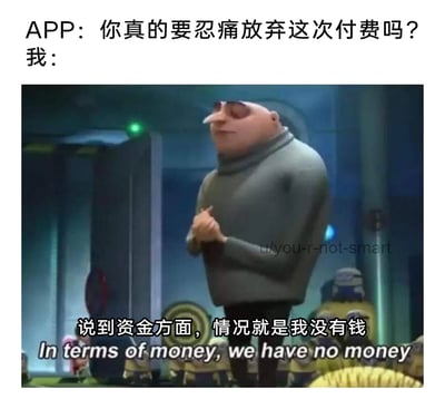 这是一张网友二次创作的搞笑梗图，上方文字模拟APP在用户即将放弃付费时的挽留提问：“你真的要忍痛放弃这次付费吗？”，下方是动画《神偷奶爸》中格鲁的影视截图，搭配中英文对照的配文“说到资金方面，情况就是我没有钱 / In terms of money, we have no money”，用幽默直白的方式表达了自己没有资金进行APP付费的真实处境，精准戳中不少人面对各类APP付费提示时的窘迫心态，充满自嘲感。