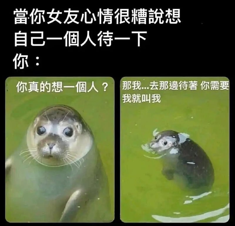 网络动物实拍表情包素材