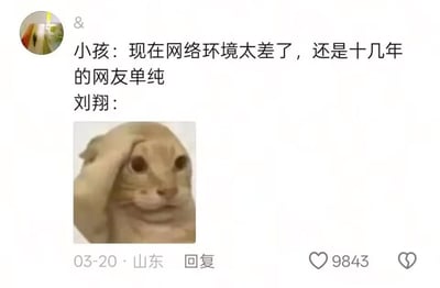这是一张社交媒体的用户评论截图，评论内容为“小孩：现在网络环境太差了，还是十几年的网友单纯
刘翔：”，随后搭配了一张猫咪抬手捂脸、满是汗意的无奈表情包。该玩梗图的内涵是：刘翔在2008年奥运会退赛后，曾在十几年前遭遇了全网大规模的恶意网暴，以此反向反驳“十几年前网友更单纯”的说法，讽刺当年的网络环境同样充满恶意。截图左下角显示该评论发布于3月20日，地址标注山东，获得了9843个点赞。