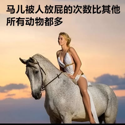 图片展示了一位穿着白色连衣裙的金发女子骑在一匹白色的马上，背景是美丽的日落天空。图片上方有一行黑色文字：'马儿被人放庇的次数比其他所有动物都多'，这是一个无厘头的搞笑说法，通过将优雅的画面与粗俗的幽默结合产生喜剧效果。