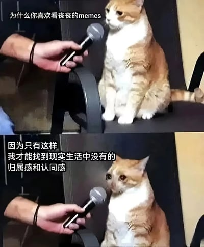 这是一张上下拼接的梗图，展示了一只橘白相间的猫接受采访的场景。上图中一只手拿着麦克风对着猫，配文"为什么你喜欢看丧丧的memes"；下图中猫似乎在认真思考后回答："因为只有这样我才能找到现实生活中没有的归属感和认同感"。图片通过拟人化的手法，幽默地表达了现代人通过观看悲伤或忧郁内容来获得情感共鸣的现象。