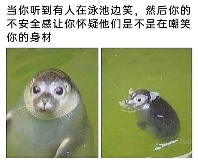 这是一张左右对比的静态文字加注梗图，上方配有文字“当你听到有人在泳池边笑，然后你的不安全感让你怀疑他们是不是在嘲笑你的身材”。左侧是一只在绿色泳池水中露出上半身的海豹，它睁着圆溜溜的大眼睛，神情局促不安，仿佛在紧张地留意周围的动静；右侧是这只海豹在水中的倒影，因视觉错位效果，看起来像是一只缩成一团、身形瘦小的海豹，完美具象化了有身材焦虑的人在泳池中听到旁人笑声时的内心状态——过度脑补下，自己仿佛变得窘迫渺小，用动物的视觉错位画面精准传递出社交场景中因身材产生的不安与自我怀疑情绪，充满共鸣感与搞笑效果。