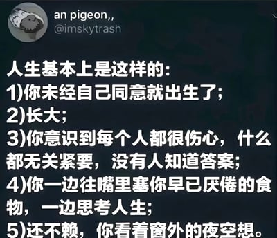 这是一张深色背景的社交媒体截图，顶部显示用户头像（鸽子插画）、用户名“an pigeon,, ”及账号“@imskytrash”。主体内容为白色文字，以“人生基本上是这样的：”为标题，列出五点对人生的总结：1)未经同意出生；2)长大；3)意识到人人伤心、万物无关紧要且无人知晓答案；4)边吃厌倦的食物边思考人生；5)觉得还不赖，看着窗外夜空遐想。整体风格偏向对生活的调侃与略带消极的感悟。