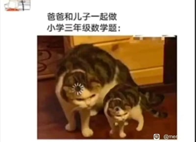 这是一张用来调侃亲子辅导作业场景的搞笑梗图，采用图文混排的形式。上方配有文字“爸爸和儿子一起做小学三年级数学题：”，引出场景；下方是两只狸花猫的图片，其中体型较大的猫被P上了崩溃的眩晕眼表情，一只爪子扶着脑袋，身体姿态痛苦，代表辅导作业的爸爸，生动表现出被小学题目难住的烦躁与头疼；旁边体型较小的猫则耷拉着眉眼，身体瘫软，神态无奈，代表写作业的儿子。整张图通过拟人化的猫咪形象，夸张地还原了家长辅导小学作业时的崩溃与无力感，精准戳中当代家长的育儿痛点，充满趣味与共鸣感。