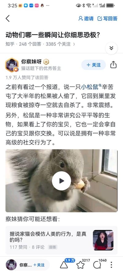 这是知乎问答社区的竖屏截图，展示了用户「你察妹呀」在问题「动物们哪一些瞬间让你细思恐极？」下的高赞回答。回答中提到一则松鼠因屯的大半年松果被偷而自杀的报道，还介绍了松鼠会与人类交换物品的公平行为，内容震撼又新奇；回答下方附带一段松鼠嘴含食物待在窗边的视频，同时推荐了相关问题「据说家猫会模仿人类的行为，是真的吗？」，页面底部显示该回答获得1.9万赞同、3217收藏、1040评论的互动数据，整体是图文混排的社交媒体内容。