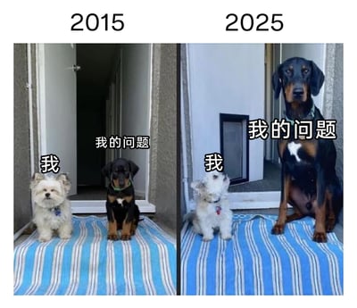 这是一张左右分栏的对比静态图，左侧上方标注“2015”，画面里一只白色小型犬（标注为“我”）和一只小型杜宾犬（标注为“我的问题”）并排坐在门前的蓝白条纹垫子上；右侧上方标注“2025”，画面里白色小型犬几乎没有变化，抬头看向已经长成大型犬的杜宾犬，直观地通过宠物体型的变化，拟人化地表现出十年过去，自身没有明显成长，而面临的问题却变得愈发庞大的状态，传递出面对成长与问题的焦虑感。