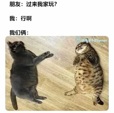 这是一张充满共鸣感的搞笑梗图，上方通过三段文字构建对话场景：朋友发出“过来我家玩？”的邀约，“我”爽快回应“行啊”，随后用“我们俩：”引出下方的实拍猫咪图。图中两只猫咪仰面躺在木质地板上，一只灰猫仰头，四肢随意地伸展着，神态放松惬意；另一只橘色斑纹猫眯着眼睛，将双手搭在圆滚滚的肚子上，姿态慵懒又满足。这张梗图用猫咪躺平摆烂的状态，幽默精准地还原了当代年轻人和朋友约玩的真实状态——并非出门玩乐，而是一起宅在家里瘫着，什么也不做，只是享受彼此陪伴的松弛感，戳中了很多人与好友相处的日常，容易引发强烈共鸣。