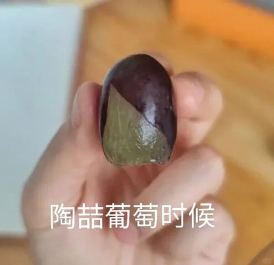 这是一张文字加注的静态原始拍摄图，画面中一只手握着一颗紫皮葡萄，葡萄的部分果皮被剥下，露出内部淡绿色的果肉，图片下方配有白色文字“陶喆葡萄时候”。这是一个谐音梗，“陶喆葡萄”是成语“逃之夭夭”的谐音，用水果和人名的组合来制造幽默效果，通常可以用来以调侃的方式表达溜走、跑掉的意思，属于网络趣味玩梗内容。