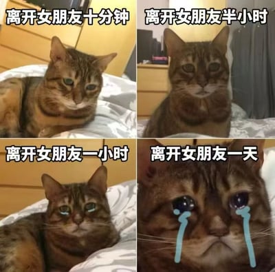 这是一张由四格画面拼接而成的网络表情包，以一只狸花猫为核心主体，通过展示与女朋友分离不同时长后的表情变化，夸张地表现出对女朋友的想念程度逐步加深。第一格对应“离开女朋友十分钟”，猫咪趴在床上，眼神略带失落；第二格“离开女朋友半小时”，猫咪表情惆怅，脸部经过处理显得有些变形；第三格“离开女朋友一小时”，猫咪眼眶泛起水光，委屈感明显加重；第四格“离开女朋友一天”，猫咪双眼满含泪水，神态极度难过，用夸张的视觉效果调侃情侣间的深厚依赖感，适合情侣间用来表达思念情绪。